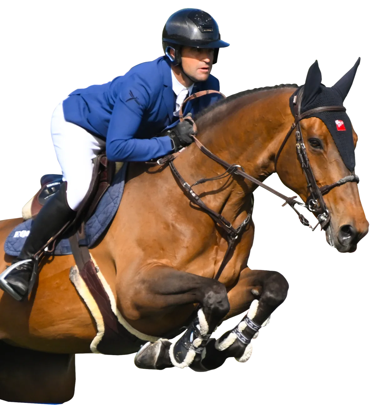 Cavalier en saut d'obstacles